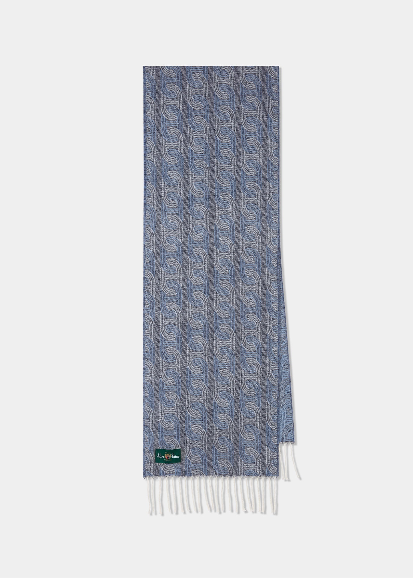 Wolvey Patterned Cashmere Scarf In Glacier
