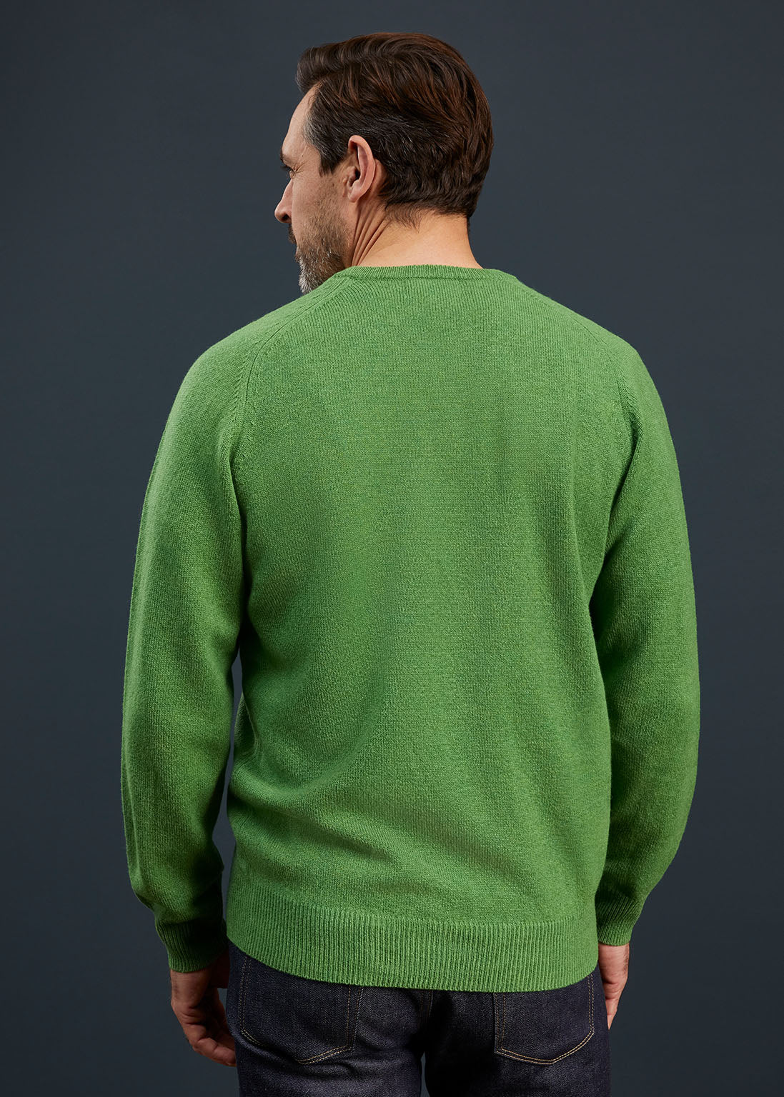 Men's Lambswool Crew Neck Jumper in Green