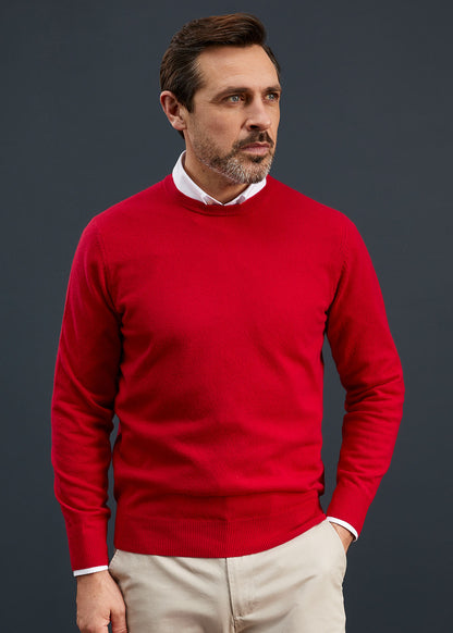 Men's Geelong Lambswool Crew Neck Jumper In Raspberry