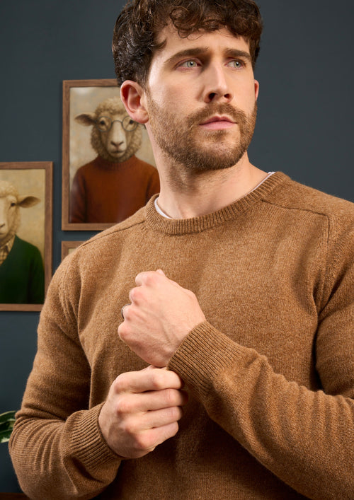 Lenzie-Mens-Lambswool-Jumper-In-Regular-Fit-Driftwood