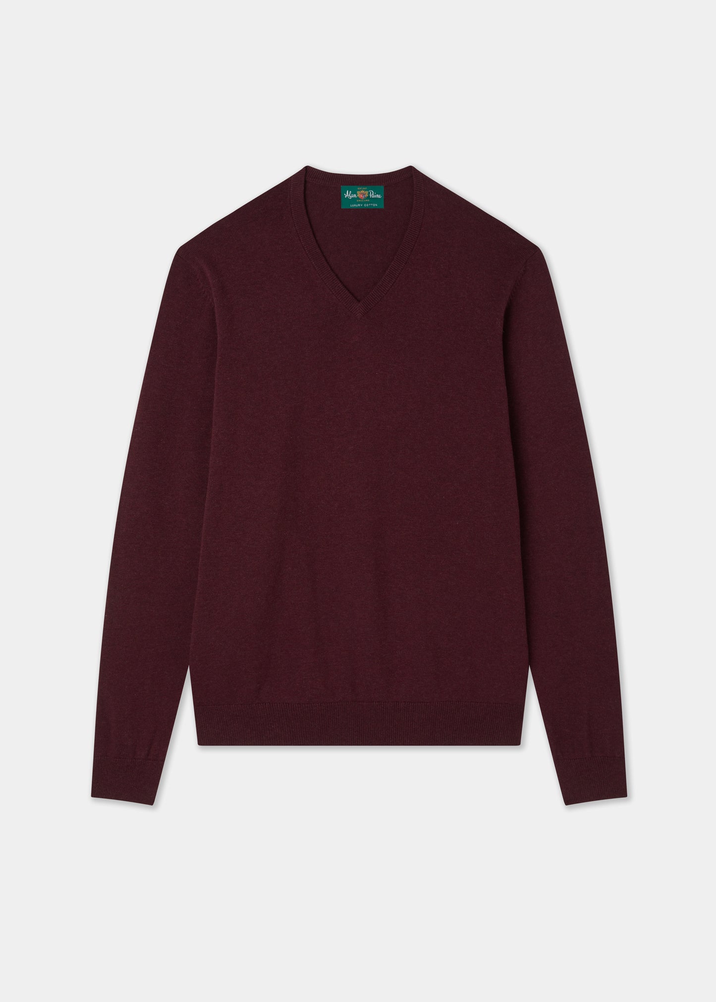 Men's Cotton Cashmere Vee Neck Jumper in Purple