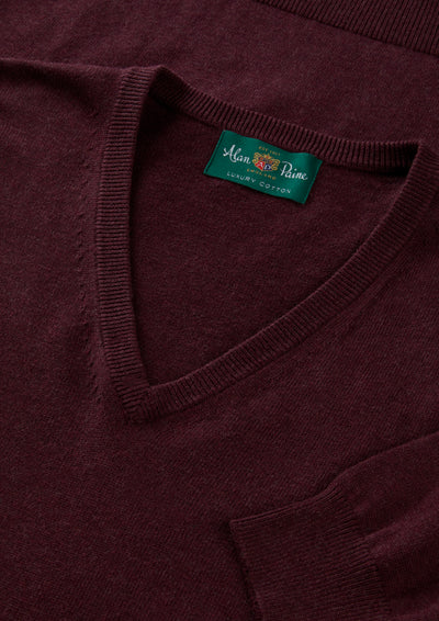Men's Cotton Cashmere Vee Neck Jumper in Purple