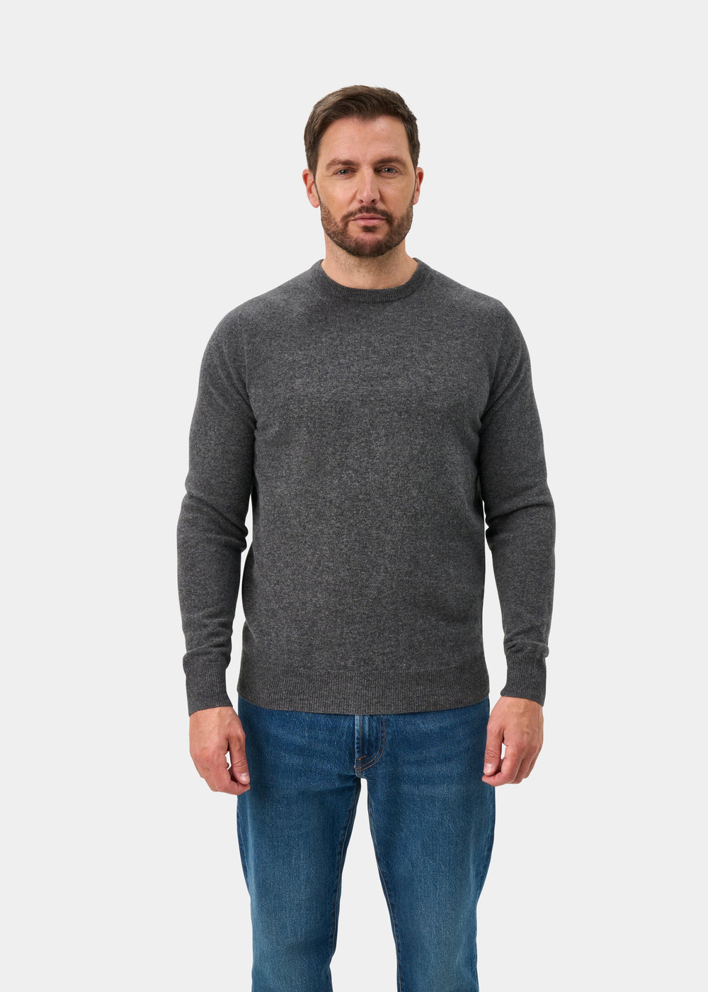 Brisbane Geelong Wool Jumper in Derby - Regular Fit
