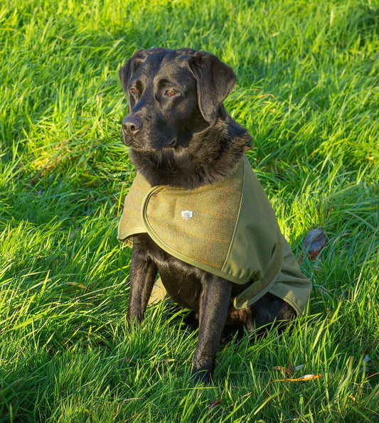 tweed-dog-coat