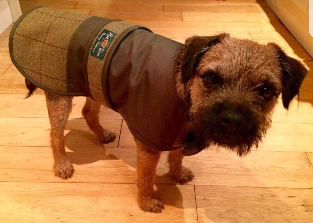 tweed-dog-coat